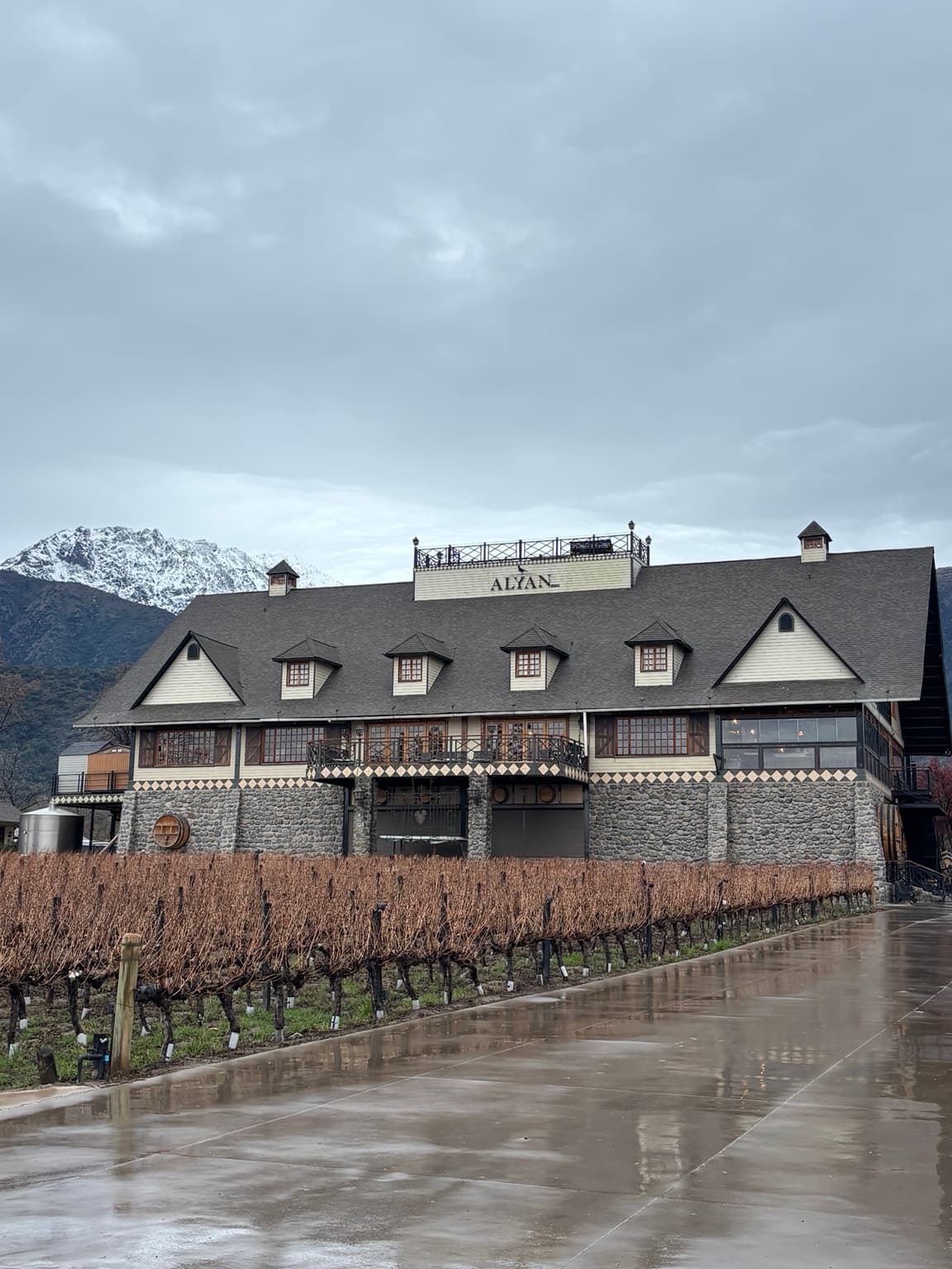 Viñedo boutique al atardecer junto a la cordillera