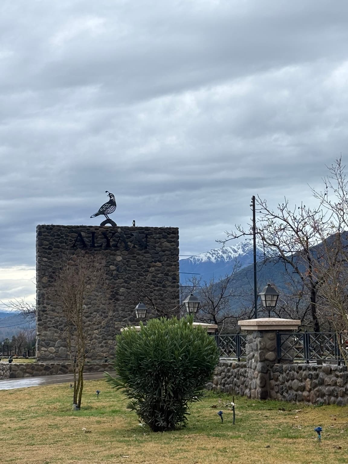 Viñedo boutique al atardecer junto a la cordillera