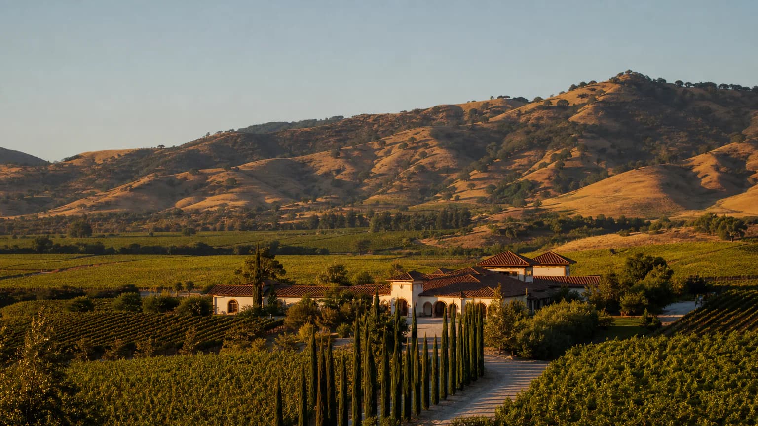 Viñedos y hacienda en el Valle de Colchagua